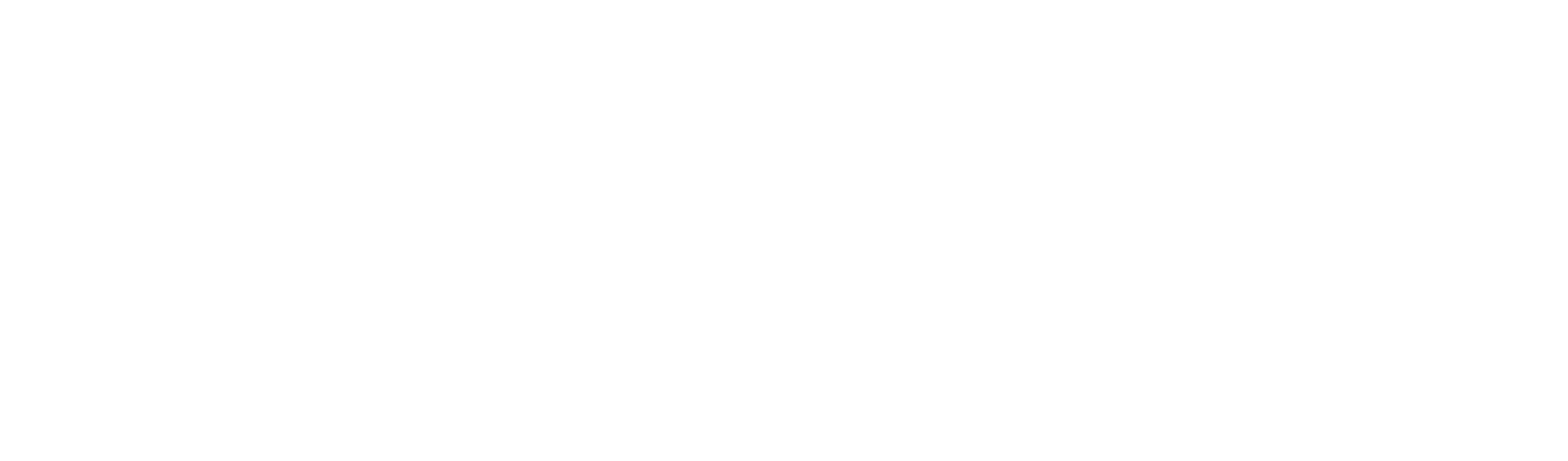 STRAY Systems